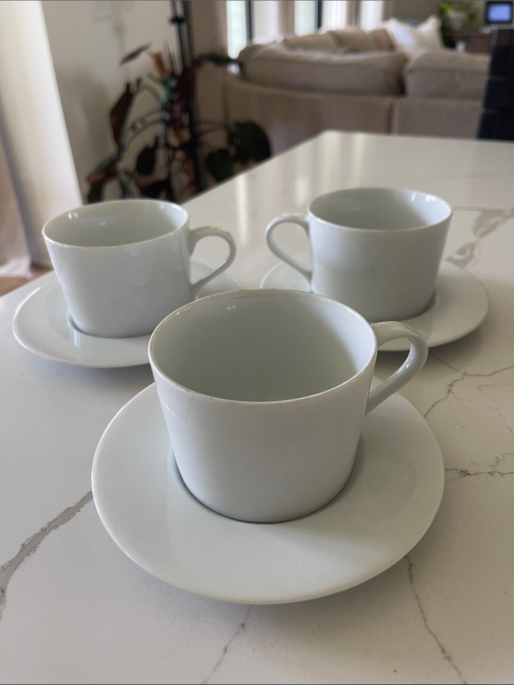 Block Spal Classic White Porcelain Tea Cup and Saucer Set - 3 Pieces